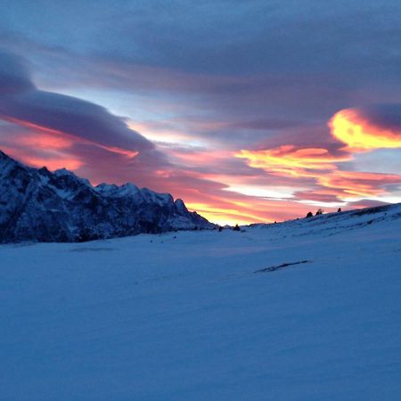 Апартаменты Monolocale A Passo Tonale Пассо-дель-Тонале Экстерьер фото